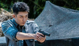 类似于金婚的电视剧,携手走过半个世纪的甜蜜岁月